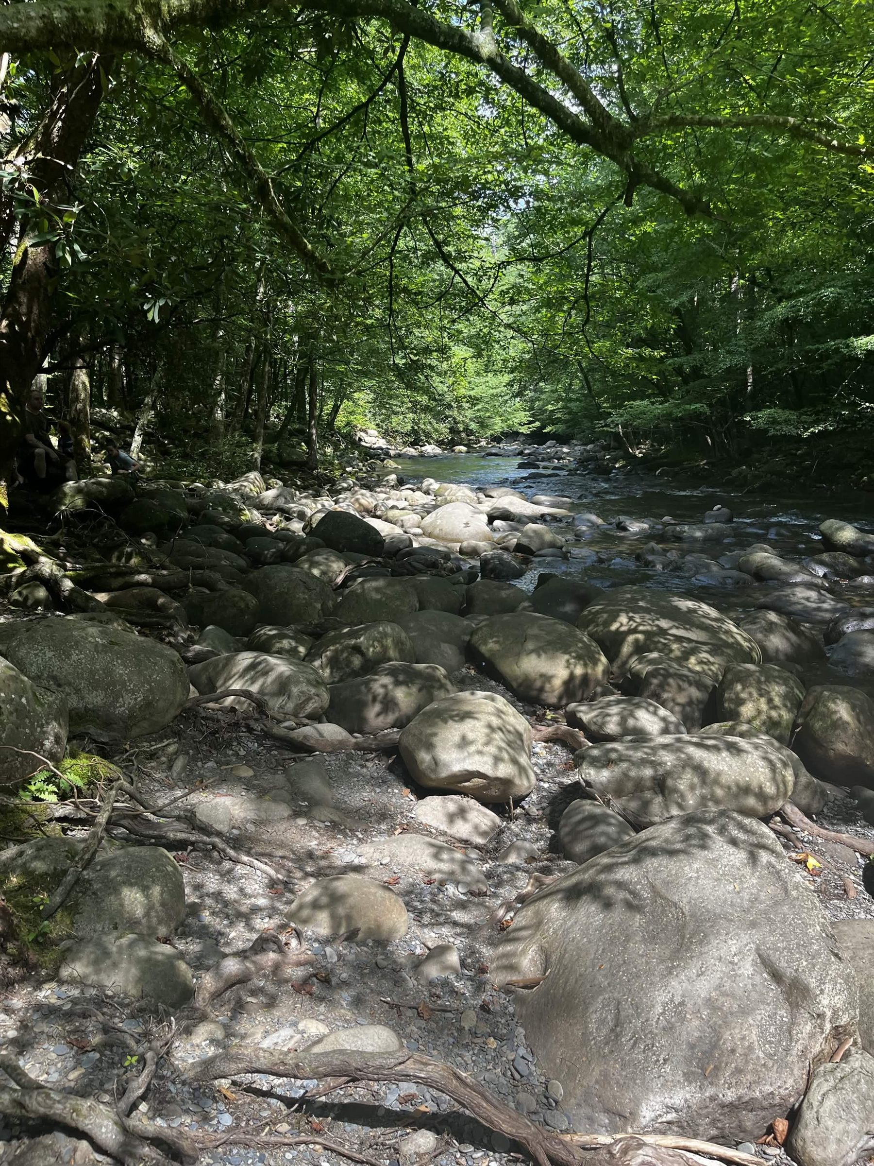A shaded creek flowing over smooth rocks beneath green trees.